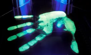 forensic-hand-print